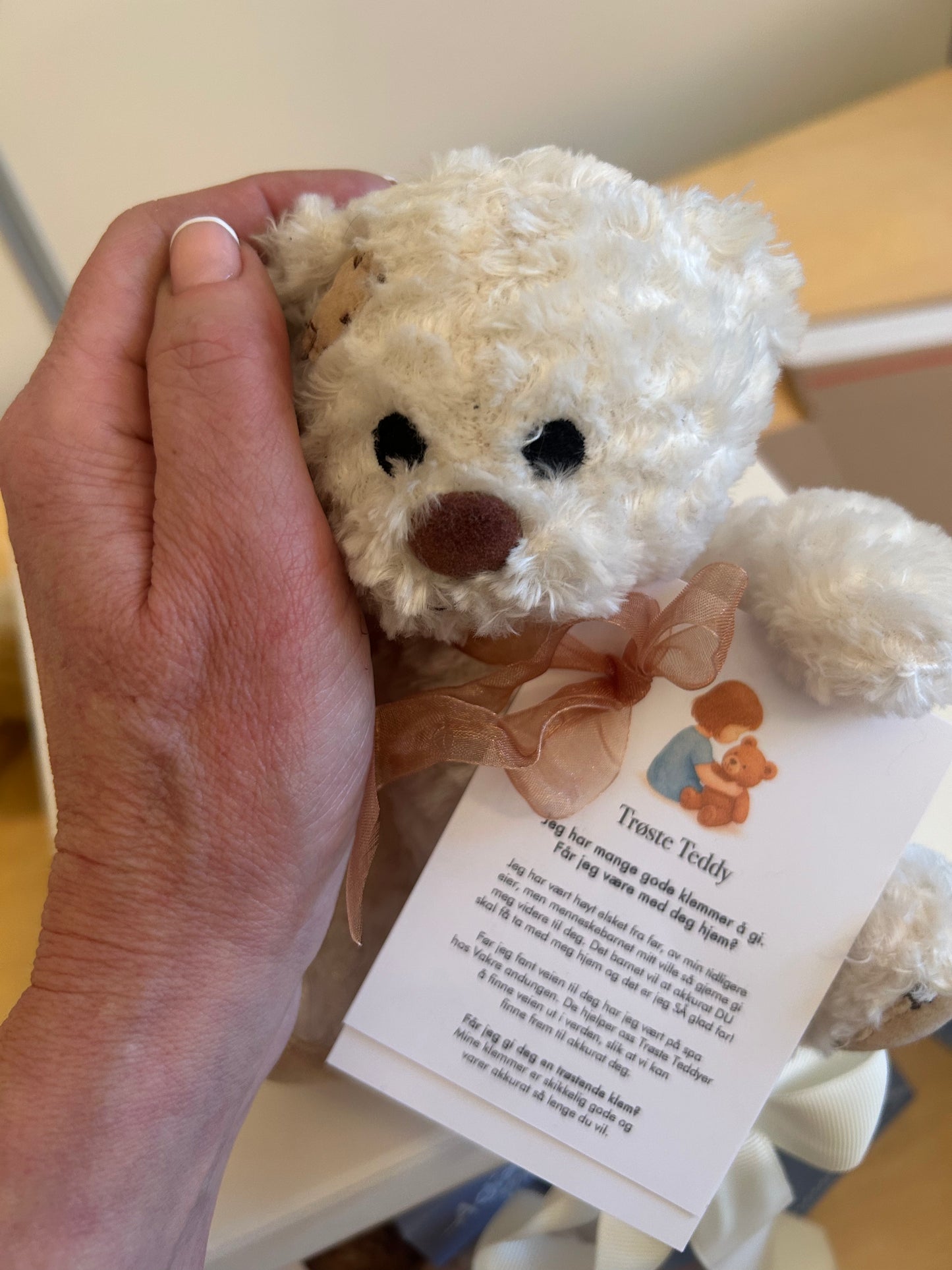 Kostnadsfri Trøste Teddy pakke